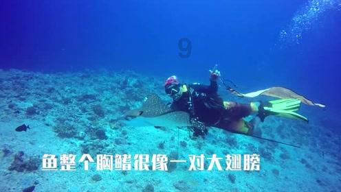 抖音什么赚钱？
